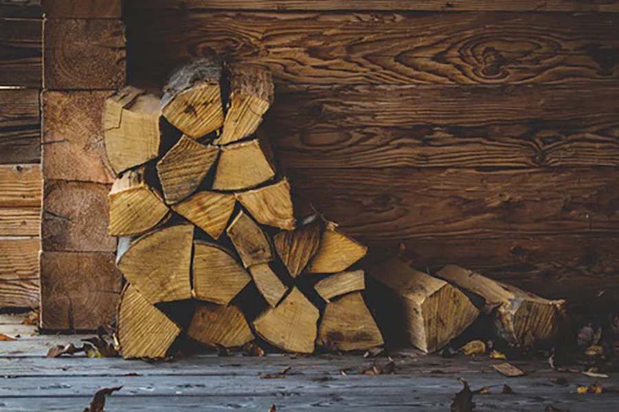 Main Differences Between Ash, Oak and Birch Logs