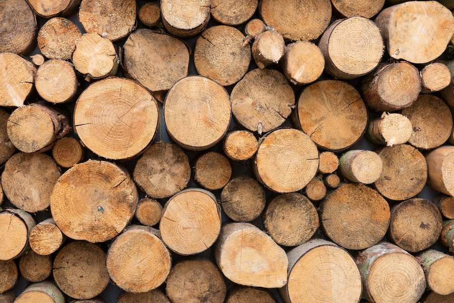 Reasons why you should use olive logs